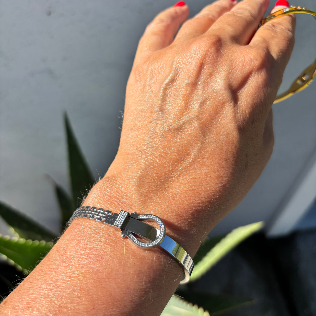 A close-up of a person's hand and wrist wearing a silver-toned bangle bracelet with a circular crystal-encrusted clasp, set against a gray wall with green plant leaves in the background.